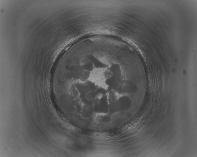 X0000066930487200603311356