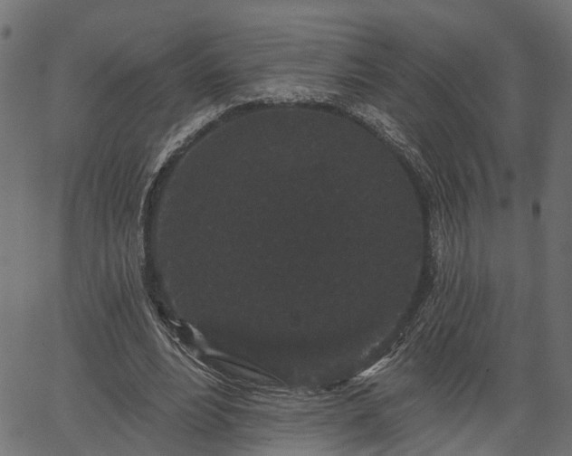 X0000066930488200603311355