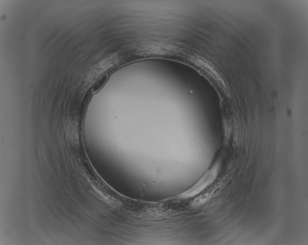 X0000066930489200603311355