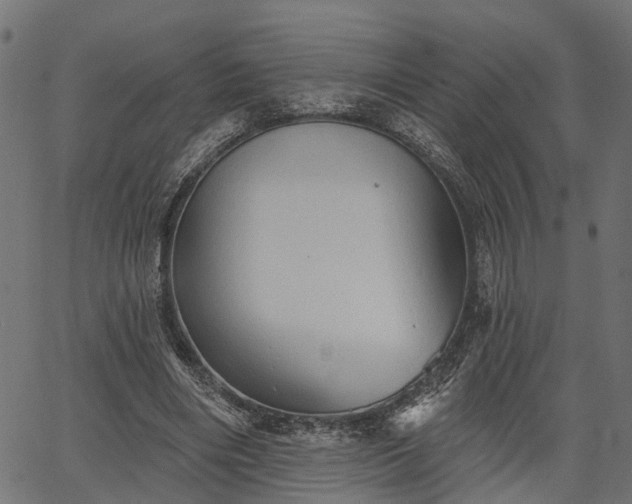 X0000066930490200603311355