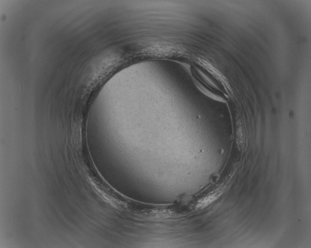 X0000066930493200603311355