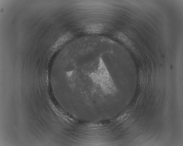 X0000066930494200603311355