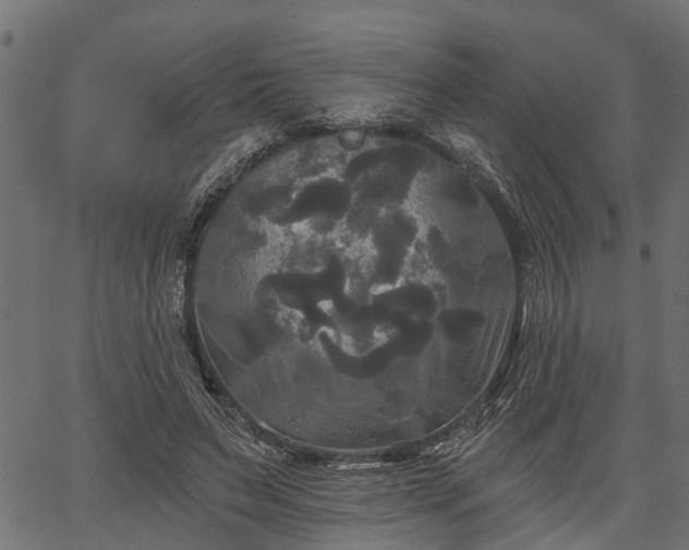 X0000066930495200603311355