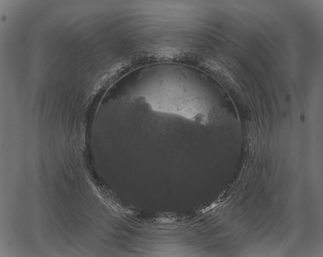 X0000066930496200603311355