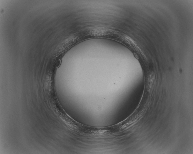 X0000066930497200603311355