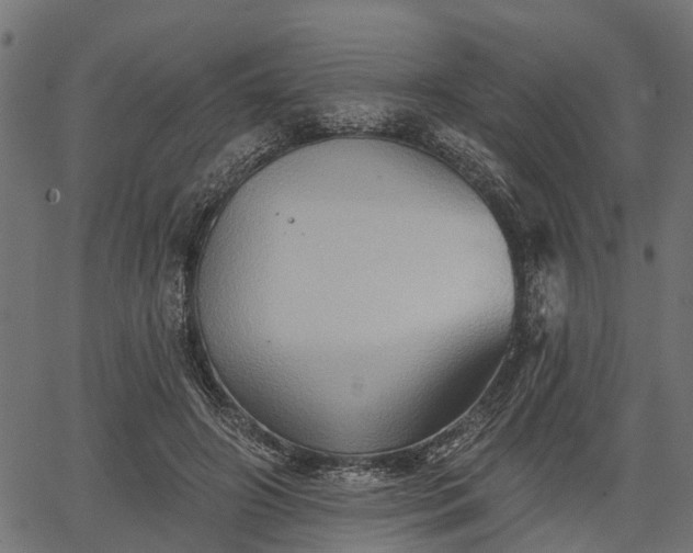 X0000066930498200603311355