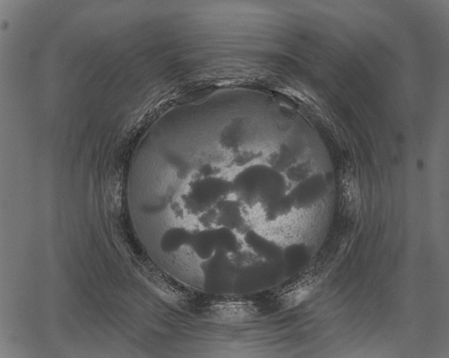 X0000066930499200603311355