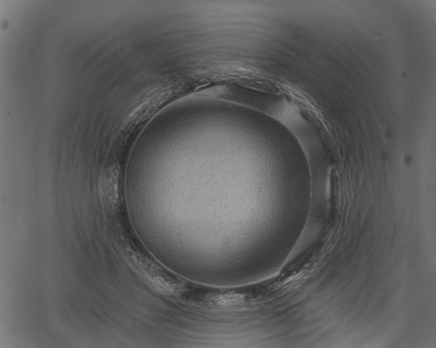 X0000066930501200603311355