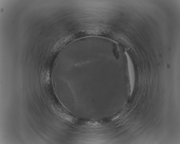 X0000066930502200603311355