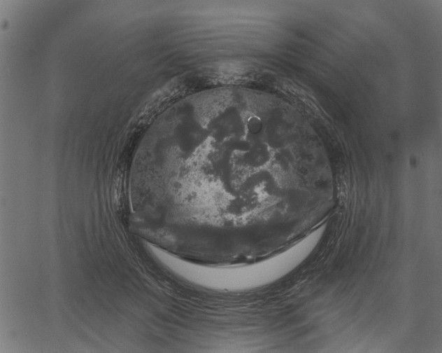 X0000066930503200603311355