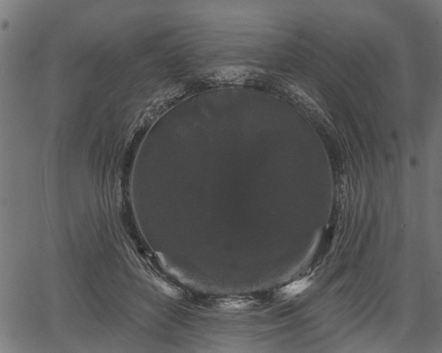 X0000066930504200603311355