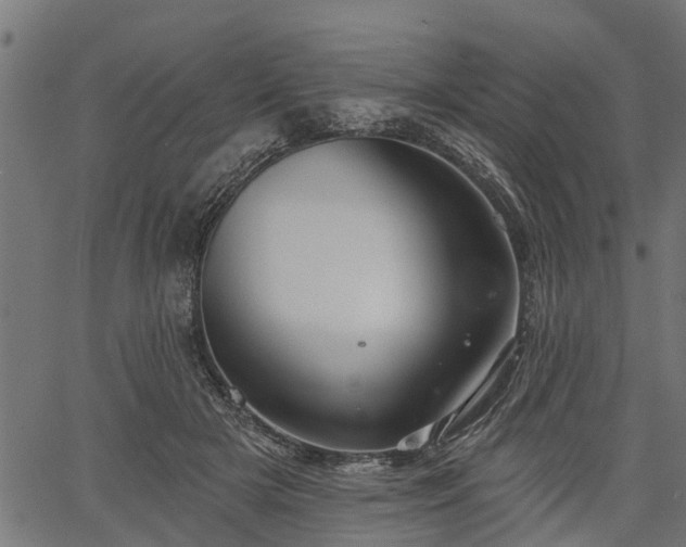 X0000066930505200603311355