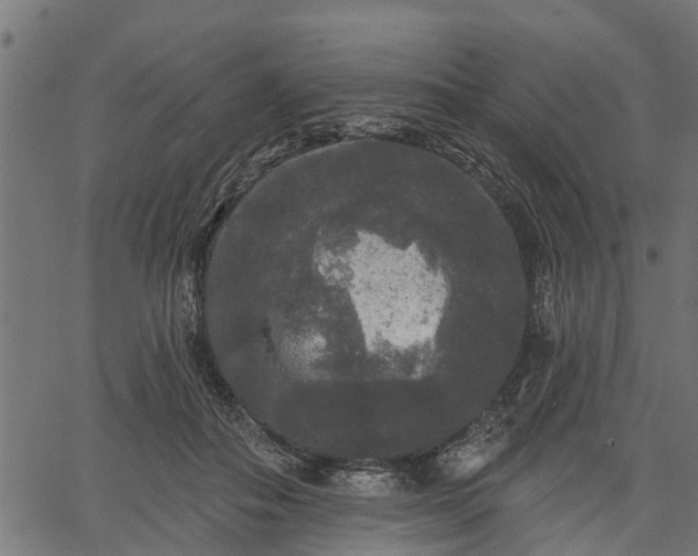 X0000066930506200603311355