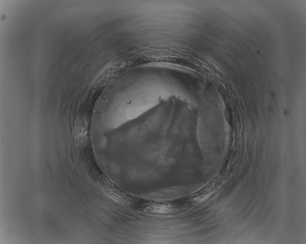 X0000066930507200603311355