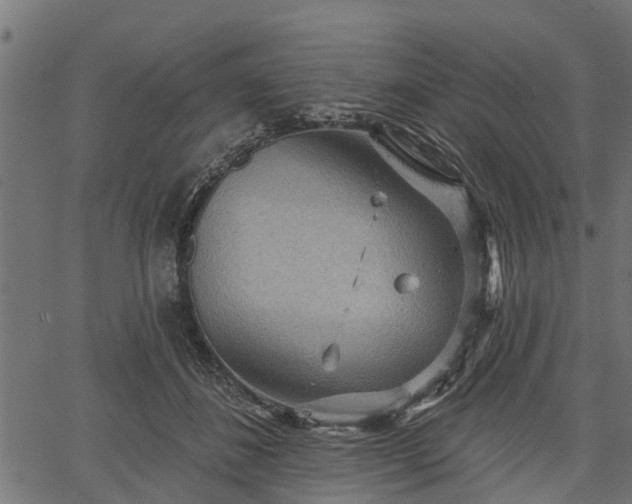 X0000066930508200603311355