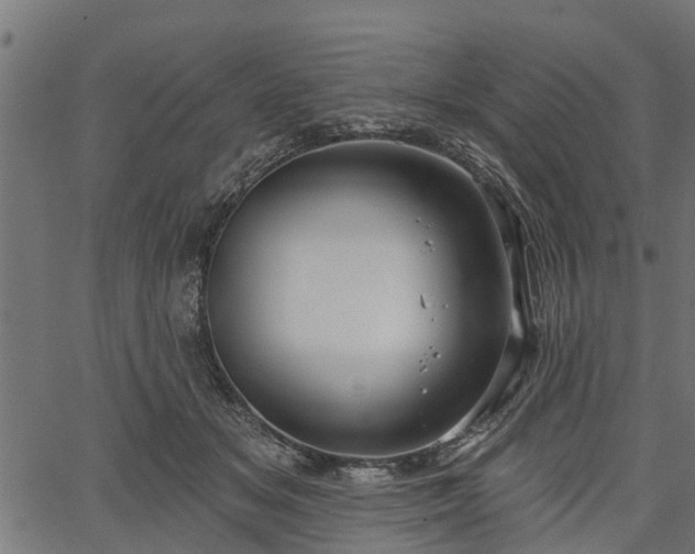 X0000066930509200603311355