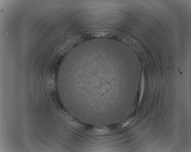 X0000066930510200603311355