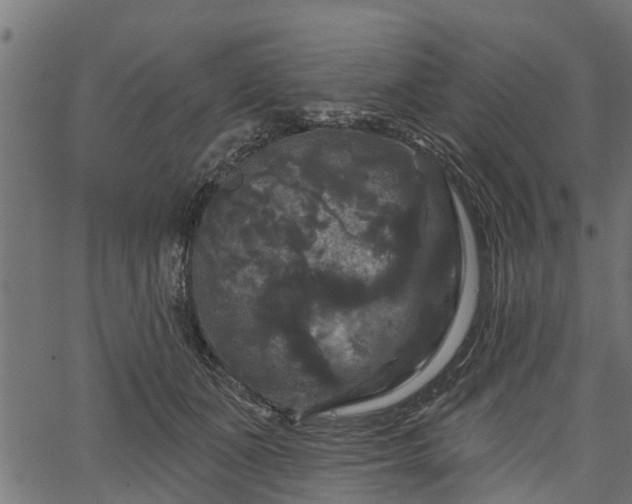 X0000066930511200603311355