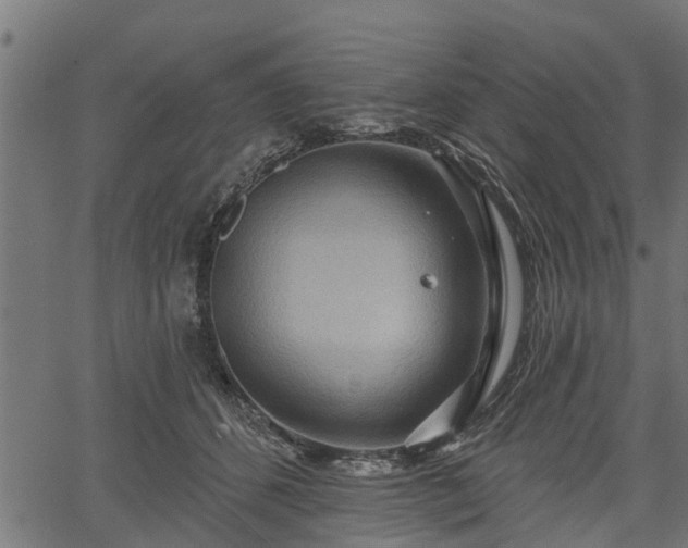 X0000066930512200603311355