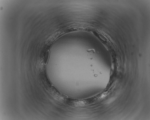 X0000066930513200603311355