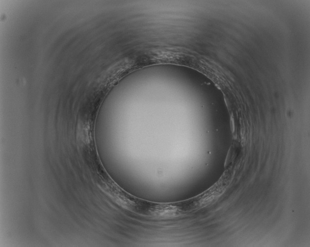 X0000066930514200603311355