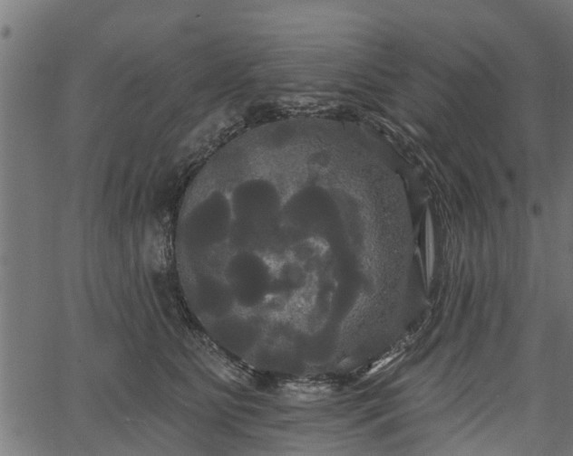 X0000066930515200603311355