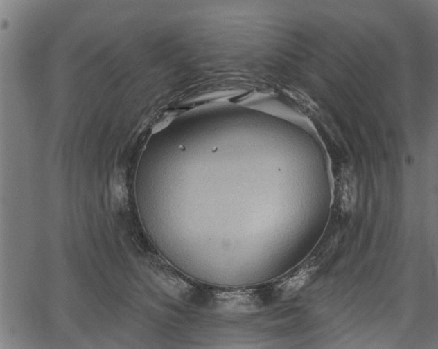 X0000066930516200603311355