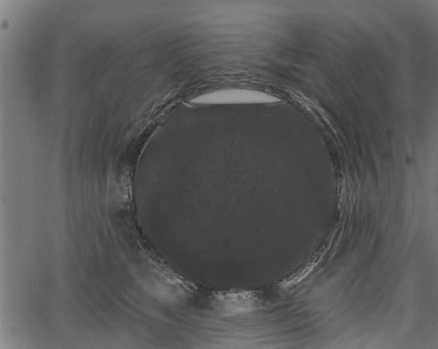 X0000066930517200603311355