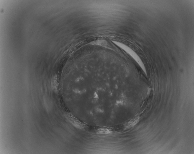 X0000066930519200603311355