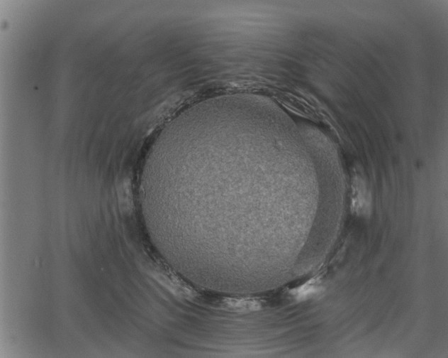 X0000066930520200603311355