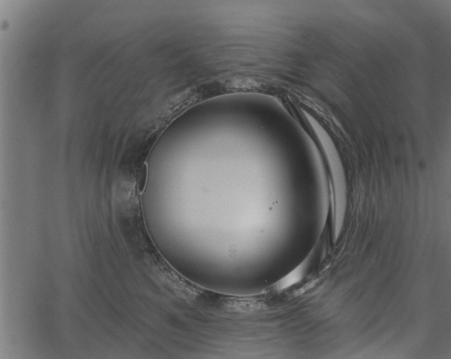 X0000066930521200603311355