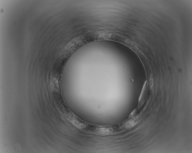 X0000066930522200603311355