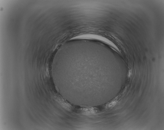 X0000066930524200603311355