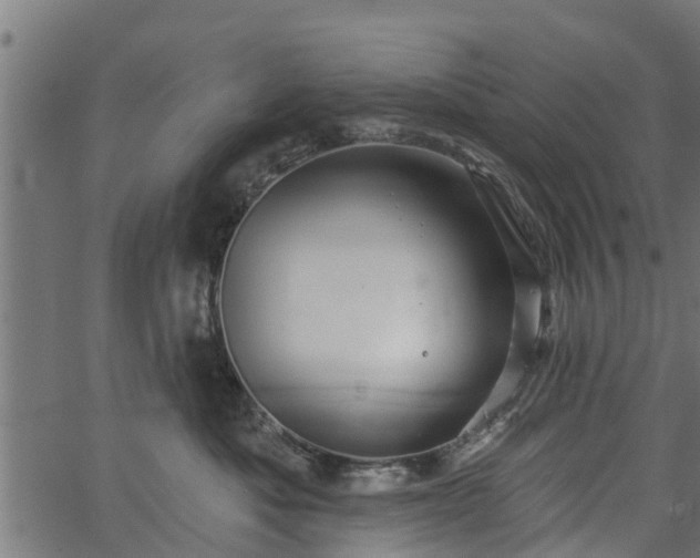 X0000066930525200603311355