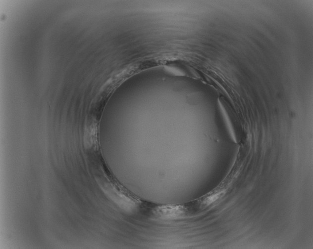 X0000066930526200603311355