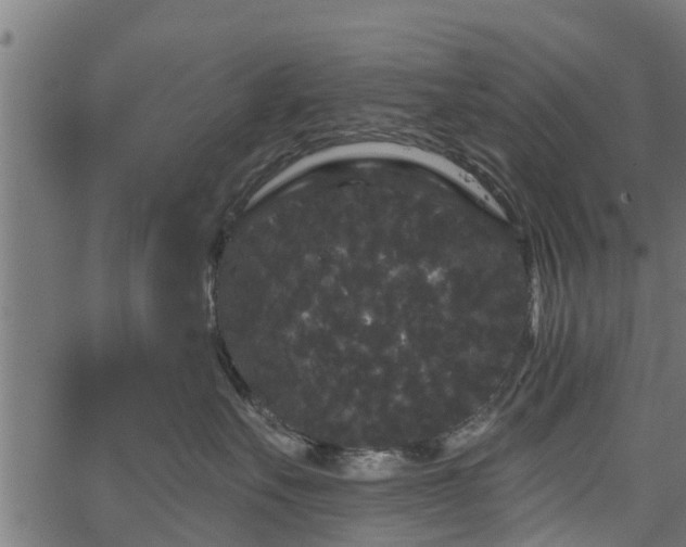 X0000066930527200603311355