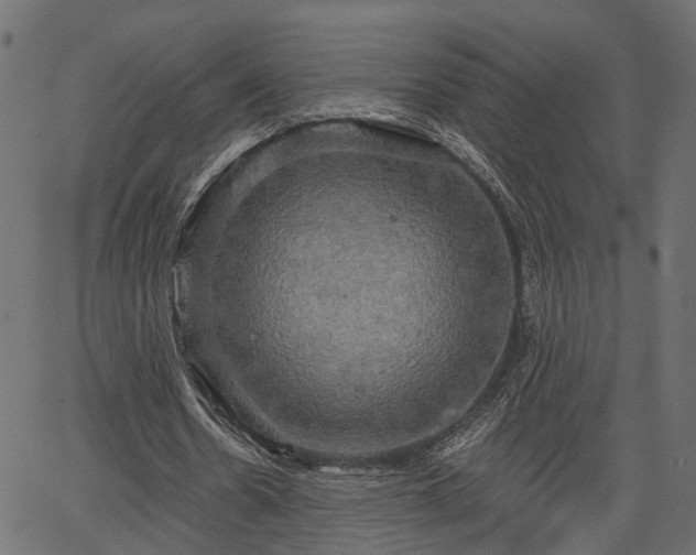 X0000066930530200603311354