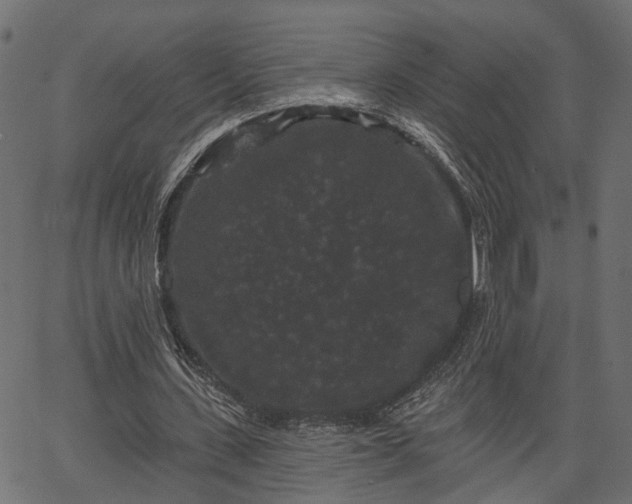 X0000066930531200603311354