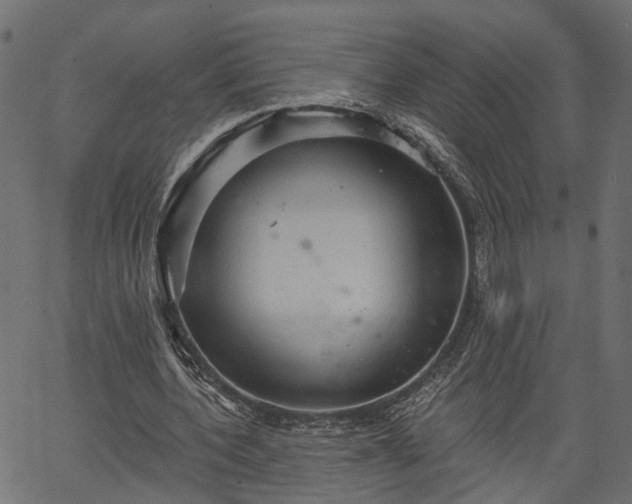 X0000066930532200603311354