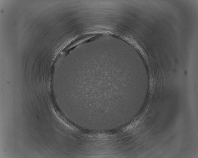 X0000066930533200603311354