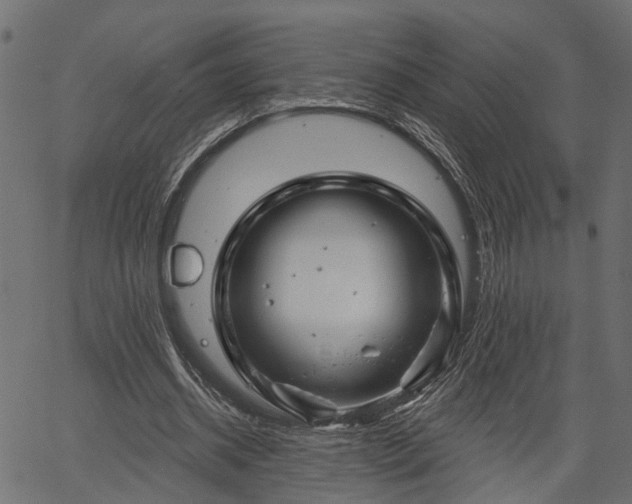 X0000066930534200603311354