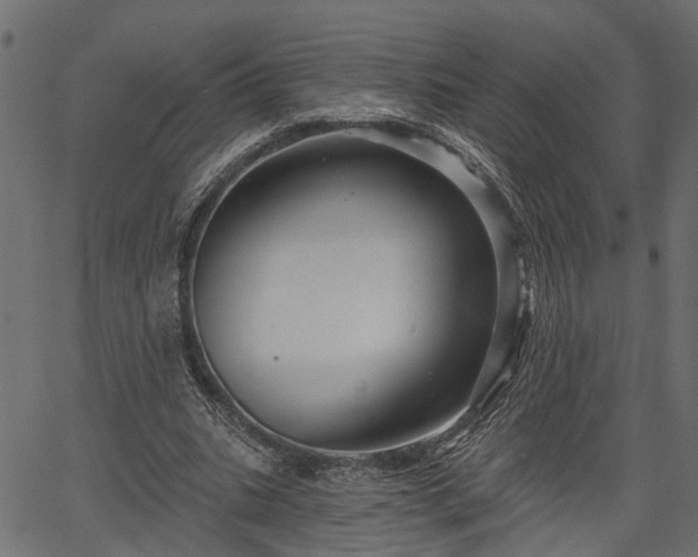 X0000066930535200603311354