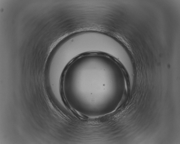 X0000066930536200603311354