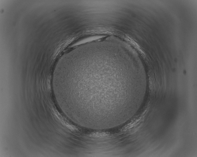 X0000066930537200603311354