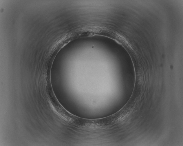 X0000066930538200603311354