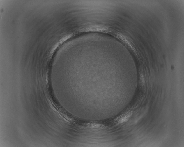 X0000066930539200603311354