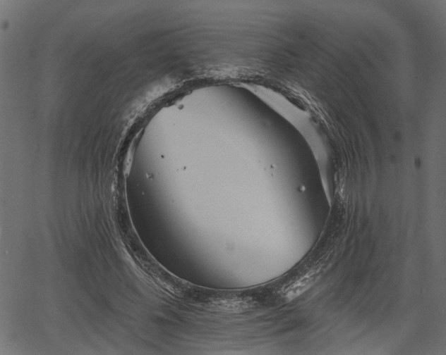 X0000066930540200603311354