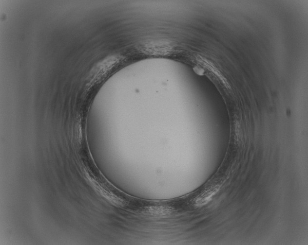 X0000066930541200603311354