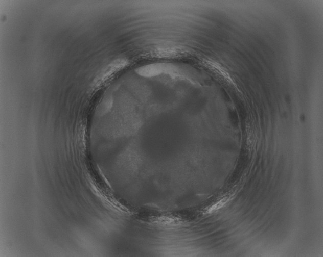 X0000066930542200603311354