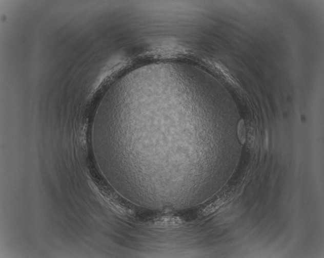 X0000066930543200603311354